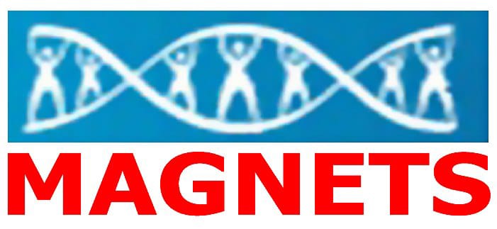 Reformists Social Welfare